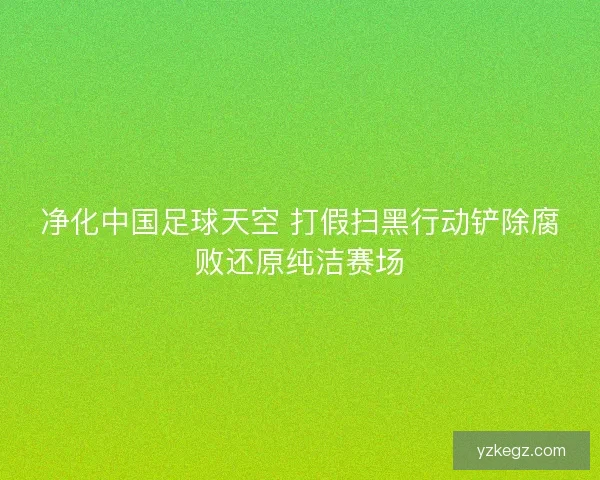 净化中国足球天空 打假扫黑行动铲除腐败还原纯洁赛场